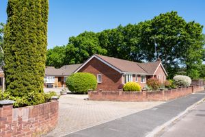 Photo 2- click for photo gallery